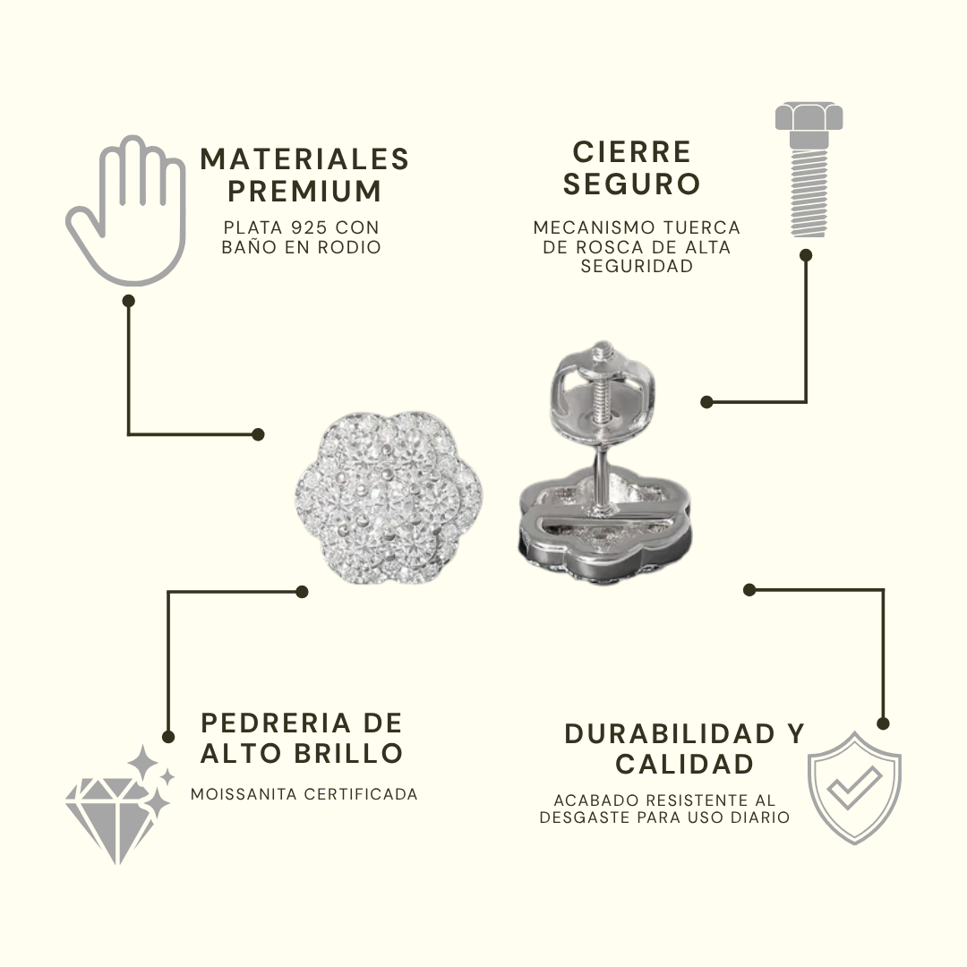 Insignia