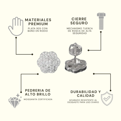 Insignia