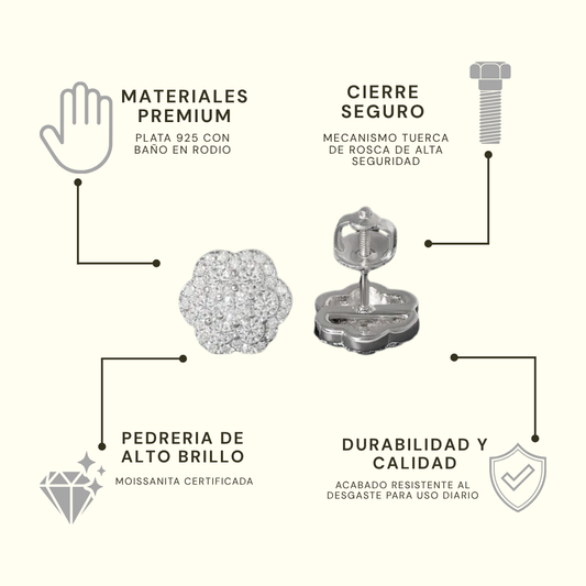 Insignia