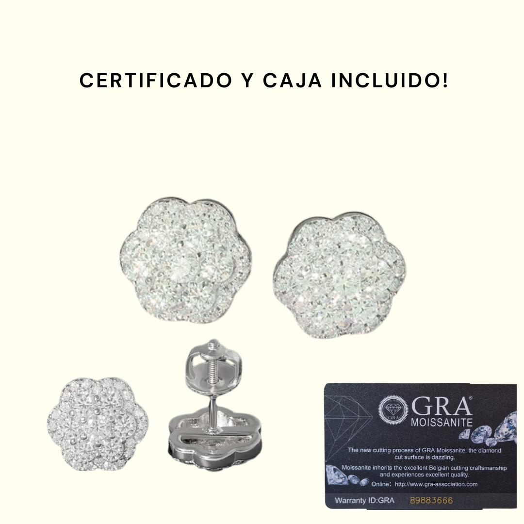 Insignia