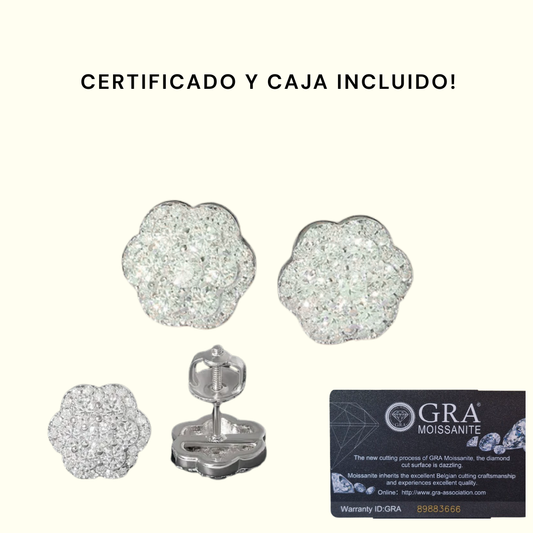 Insignia